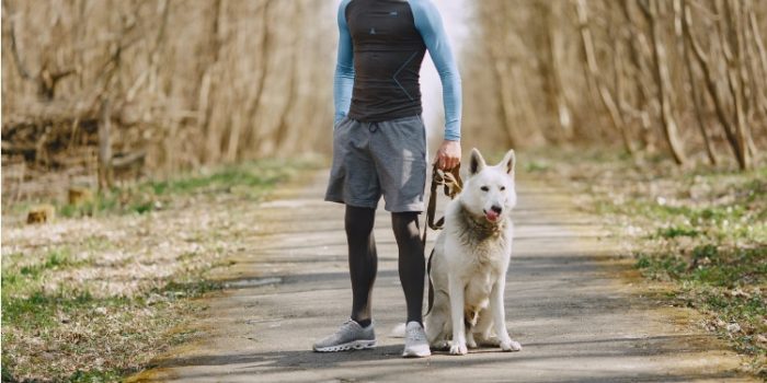 PTSD Service Dog