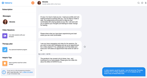 Chatting with Calmerry therapists