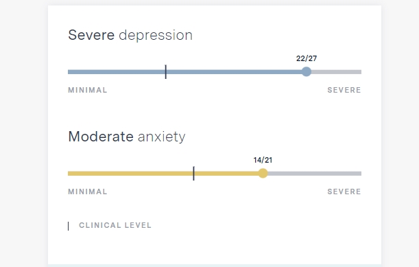 Brightside screening assessment