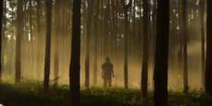 Sociopath walking in the woods